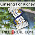 Ginseng For Kidney 12